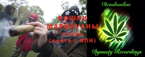 спайс Гусь-Хрустальный