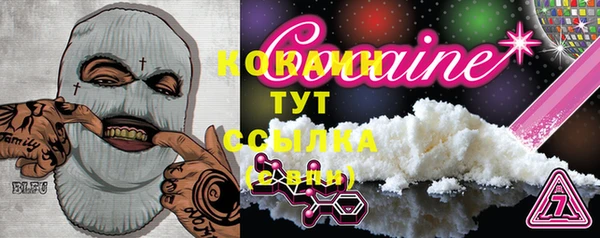 спайс Гусь-Хрустальный