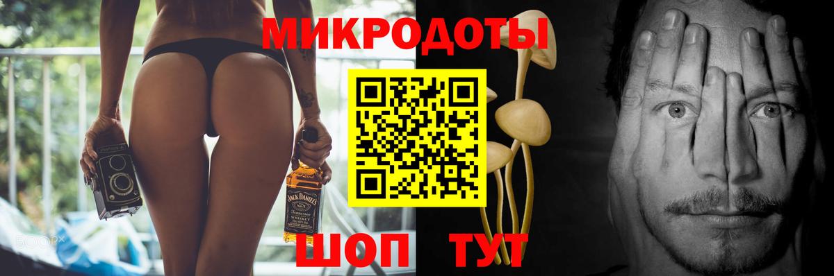 Котлас  Галлюциногенные грибы Psilocybe  цены наркотик  Вход с VPN 