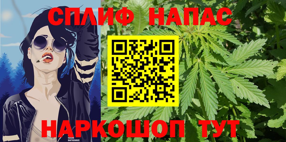 Марихуана OG Kush Котлас